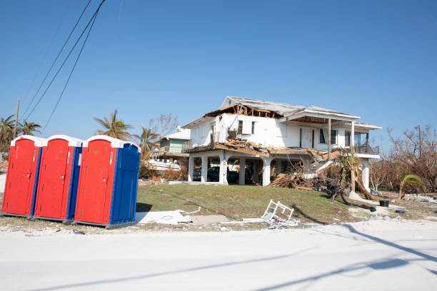 How Our Tree Care Process Works  in  Grayslake, IL